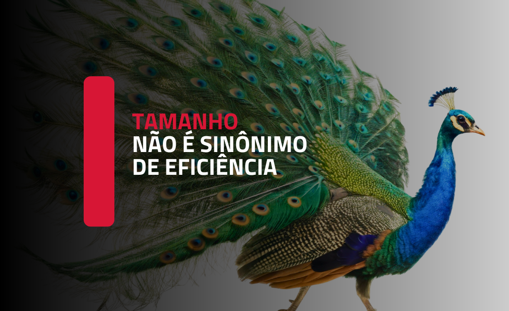 Crescer sem critério pode transformar eficiência em vaidade organizacional
